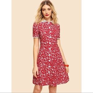 Contrast Lace Collar Floral Fit & Flare Dress